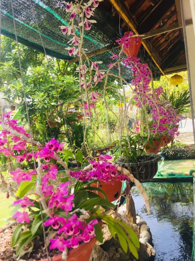 Do River Homestay Хойан Экстерьер фото